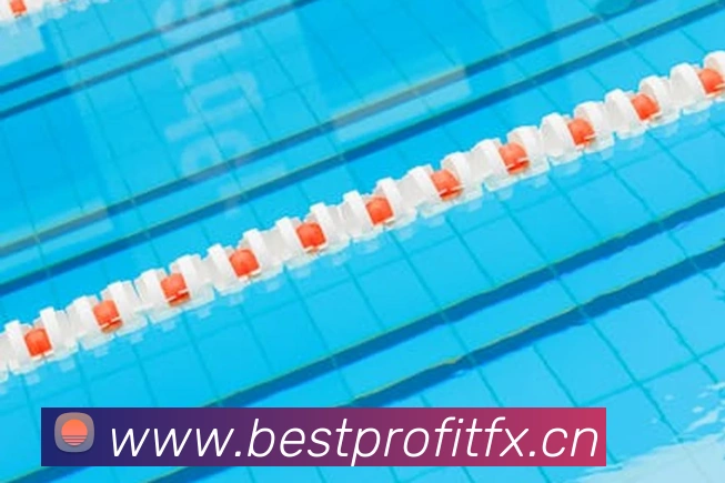 九游网页平台官网服务体系